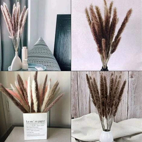 SOEKAVIA 30 Pezzi Erba Di Pampa, Bouquet Di Fiori Secchi Di Pampa Naturale Da 45 Cm Per Vasi, Decorazione Boho Camera Da Letto Soggiorno Casa, Decorazione Da Tavola Fotografia Di Matrimonio 2 SOEKAVIA 30 Pezzi Erba Di Pampa, Bouquet Di Fiori Secchi Di Pampa Naturale Da 45 Cm Per Vasi, Decorazione Boho Camera Da Letto Soggiorno Casa, Decorazione Da Tavola Fotografia Di Matrimonio - immagine 2