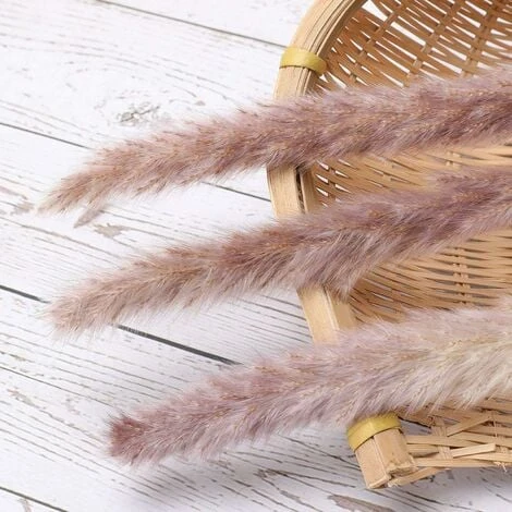 SOEKAVIA 30 Pezzi Erba Di Pampa, Bouquet Di Fiori Secchi Di Pampa Naturale Da 45 Cm Per Vasi, Decorazione Boho Camera Da Letto Soggiorno Casa, Decorazione Da Tavola Fotografia Di Matrimonio 4 SOEKAVIA 30 Pezzi Erba Di Pampa, Bouquet Di Fiori Secchi Di Pampa Naturale Da 45 Cm Per Vasi, Decorazione Boho Camera Da Letto Soggiorno Casa, Decorazione Da Tavola Fotografia Di Matrimonio - immagine 4