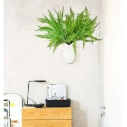 SOEKAVIA 3 Pezzi Arbusti Di Piante Di Felce Di Boston Artificiale Cespugli Verdi Per Interni Esterni Giardino Di Casa Ufficio Portico Decorazioni Per Matrimoni -Negozio al dettaglio Piante Casa 35821457 4