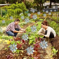 Repellente Per Uccelli 10 Pezzi Riflettore Per Mulino A Vento Riflettente Per Uccelli Repellente Per Uccelli Riflettente Per Mulino A Vento Repellente Per Uccelli Per Proteggere Giardino, Frutteto, Co -Negozio al dettaglio Piante Casa 36032519 4