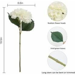 SOEKAVIA Fiore Di Ortensia Artificiale, 5 Pezzi Di Bouquet Di Ortensie Con Testa Da 6,3 Pollici A Stelo Lungo In Seta Per Matrimonio, Casa, Hotel, Decorazioni Per Feste, Composizioni Floreali (bianco) 9 SOEKAVIA Fiore Di Ortensia Artificiale, 5 Pezzi Di Bouquet Di Ortensie Con Testa Da 6,3 Pollici A Stelo Lungo In Seta Per Matrimonio, Casa, Hotel, Decorazioni Per Feste, Composizioni Floreali (bianco) -Negozio al dettaglio Piante Casa 36034396 5