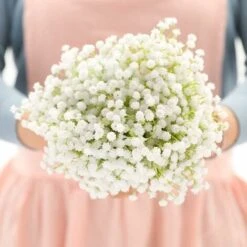 SOEKAVIA Neonati Respiro Artificiale Bouquet Finto Gypsophila Fiore Sfuso In Bianco Per Ghirlanda Di Nozze Decorazione Per Giardino Per Feste A Casa 8 Pezzi -Negozio al dettaglio Piante Casa 36224029 5