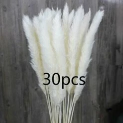 SOEKAVIA 30 Pezzi Di Piccola Erba Di Pampa Essiccata Naturale, Phragmites Communis, Bouquet Da Sposa E Fotografico Per L'arredamento Della Casa (bianco, 30 Pezzi)