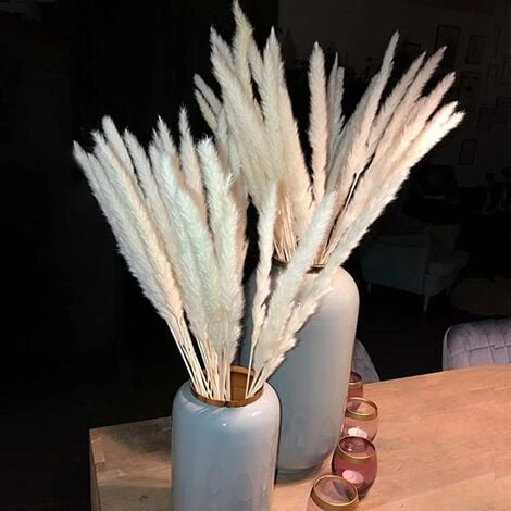 SOEKAVIA 30 Pezzi Di Piccola Erba Di Pampa Essiccata Naturale, Phragmites Communis, Bouquet Da Sposa E Fotografico Per L'arredamento Della Casa (bianco, 30 Pezzi) 4 SOEKAVIA 30 Pezzi Di Piccola Erba Di Pampa Essiccata Naturale, Phragmites Communis, Bouquet Da Sposa E Fotografico Per L'arredamento Della Casa (bianco, 30 Pezzi) - immagine 4