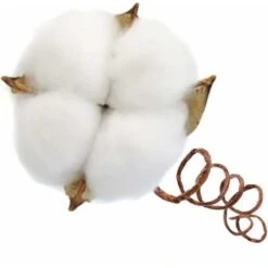 SOEKAVIA Ramo Di Cotone Tronco Naturale Fattoria Fiori Secchi Rami Di Cotone Pianta Di Cotone Fiori Secchi Artificiali (20 Pezzi) -Negozio al dettaglio Piante Casa 36248116 3