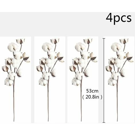 SOEKAVIA 4 Cotton Fioc Bianco Naturale, 10 Cotton Fioc Per Cotton Fioc, 53,3 Cm, Piccozze Di Fiori, Stile Country, Decorazione. 2 SOEKAVIA 4 Cotton Fioc Bianco Naturale, 10 Cotton Fioc Per Cotton Fioc, 53,3 Cm, Piccozze Di Fiori, Stile Country, Decorazione. - immagine 2