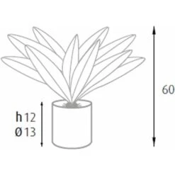 King Home Pianta DRACAENA H. 60 Cm 19 FOGLIE Completa Di Vaso Con Muschio -Negozio al dettaglio Piante Casa 40982777 3