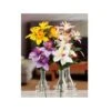 BOUQUET ORCHIDEE 5FIOR ASS4COL CM37