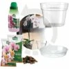 Kit Rinvaso Per Orchidee Completo - Vaso Trasparente Da Ø 15cm Con Sottovaso + Substrato Specifico Per Orchidee 1 Lt + Concime Liquido 250ml - Inclusa Guida Completa