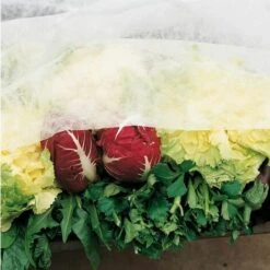 Telo Di Copertura Antigelo Per Protezione Di Piante, Coltivazioni, Orto In TNT - 2,4x10 Metri -Negozio al dettaglio Piante Casa 47524113 3