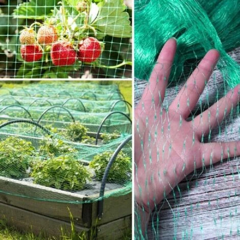 Trade Shop - Rete Anti Uccelli Verde In Polietilene Protezione Giardino Orto Piante 2 X 10 Mt 2 Trade Shop - Rete Anti Uccelli Verde In Polietilene Protezione Giardino Orto Piante 2 X 10 Mt - immagine 2