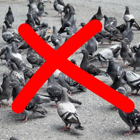 4x Cornacchia Spaventapasseri, Allontana Piccioni E Gufi, Corvo Volante Per Il Giardino, Statua Decorativa, Nero 5 4x Cornacchia Spaventapasseri, Allontana Piccioni E Gufi, Corvo Volante Per Il Giardino, Statua Decorativa, Nero - immagine 5