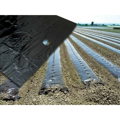 TELO PACCIAMATURA FORATO FILM POLIETILENE PER ORTO FORI PASSO 30 10/100 MT 12828 10 MT (12828) 1 TELO PACCIAMATURA FORATO FILM POLIETILENE PER ORTO FORI PASSO 30 10/100 MT 12828 10 MT (12828)