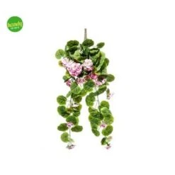 GERANIO CADENTE ARPIMEX 72CM ROSA