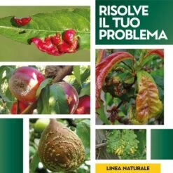 LECITINA IN POLVERE 100 G 8 LECITINA IN POLVERE 100 G -Negozio al dettaglio Piante Casa 51182034 4