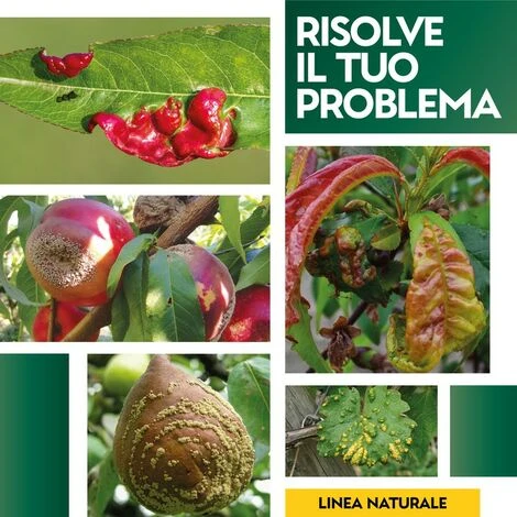 LECITINA IN POLVERE 100 G 4 LECITINA IN POLVERE 100 G - immagine 4