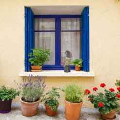 2x Gufo Spaventapasseri, Con Testa Rotante, Figura Deco Verticale, Spaventapasseri Da Giardino, Balcone, Colorato -Negozio al dettaglio Piante Casa 51975054 3