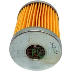 Filtro Gasolio A Cartuccia Per Motori Lombardini 3ld510 8ld 9ld Lda 510 -Negozio al dettaglio Piante Casa 52670303 4