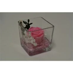 Cubo Fondo Pietra Con Rosa Baccara Cm 10x10 - Rosa