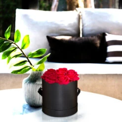 Relaxdays Bouquet Rose Eterne, Box Nero Rotondo Con 8 Fiori Finti, Resistente, Idea Regalo Scatola Romantica, Rosso 7 Relaxdays Bouquet Rose Eterne, Box Nero Rotondo Con 8 Fiori Finti, Resistente, Idea Regalo Scatola Romantica, Rosso -Negozio al dettaglio Piante Casa 54889736 3