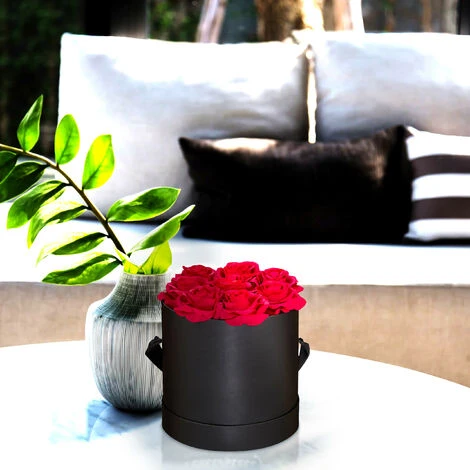 Relaxdays Bouquet Rose Eterne, Box Nero Rotondo Con 8 Fiori Finti, Resistente, Idea Regalo Scatola Romantica, Rosso 3 Relaxdays Bouquet Rose Eterne, Box Nero Rotondo Con 8 Fiori Finti, Resistente, Idea Regalo Scatola Romantica, Rosso - immagine 3