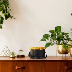 Relaxdays Bouquet Rose Eterne, Box A Cuore, Mazzo Di 18 Fiori Finti, Elegante Idea Regalo, Scatola Romantica, Nero Oro 7 Relaxdays Bouquet Rose Eterne, Box A Cuore, Mazzo Di 18 Fiori Finti, Elegante Idea Regalo, Scatola Romantica, Nero Oro -Negozio al dettaglio Piante Casa 55486693 3