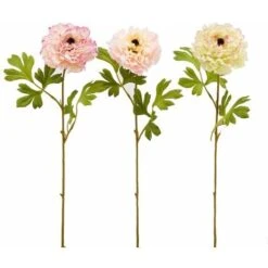 Negozio al dettaglio Piante Casa -Negozio al dettaglio Piante Casa 56342308 2