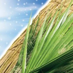 Tappetino Per Svernamento Hivermat - 1 X 1,50 M Nortene -Negozio al dettaglio Piante Casa 58404214 3