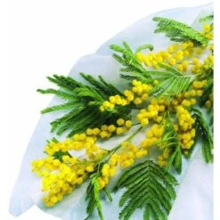 Velo Invernale Hivertex 2 X 10 M Nortene 7 Velo Invernale Hivertex 2 X 10 M Nortene -Negozio al dettaglio Piante Casa 58404603 3