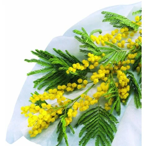 Velo Invernale Hivertex 2 X 10 M Nortene 3 Velo Invernale Hivertex 2 X 10 M Nortene - immagine 3