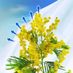 Velo Invernale Hivertex 2 X 10 M Nortene 8 Velo Invernale Hivertex 2 X 10 M Nortene -Negozio al dettaglio Piante Casa 58404603 4