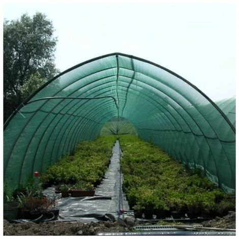 Rete Telo Antigrandine Per Orto Coltivazioni Coperture Protezione Da 3x5 Metri 5 Rete Telo Antigrandine Per Orto Coltivazioni Coperture Protezione Da 3x5 Metri - immagine 5