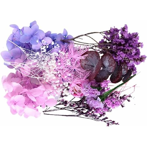HIASDFLS Set Di Fiori Secchi, 1 Set Pressato, Naturale, Margherita Essiccata, Naturale, Molte Varietà, Per La Decorazione Di Biglietti Di Auguri, Custodie Per Cellulari 1 HIASDFLS Set Di Fiori Secchi, 1 Set Pressato, Naturale, Margherita Essiccata, Naturale, Molte Varietà, Per La Decorazione Di Biglietti Di Auguri, Custodie Per Cellulari
