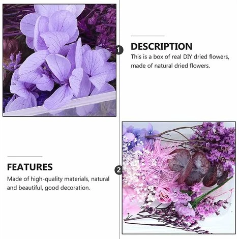 HIASDFLS Set Di Fiori Secchi, 1 Set Pressato, Naturale, Margherita Essiccata, Naturale, Molte Varietà, Per La Decorazione Di Biglietti Di Auguri, Custodie Per Cellulari 2 HIASDFLS Set Di Fiori Secchi, 1 Set Pressato, Naturale, Margherita Essiccata, Naturale, Molte Varietà, Per La Decorazione Di Biglietti Di Auguri, Custodie Per Cellulari - immagine 2