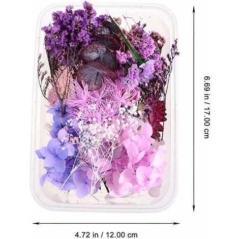 HIASDFLS Set Di Fiori Secchi, 1 Set Pressato, Naturale, Margherita Essiccata, Naturale, Molte Varietà, Per La Decorazione Di Biglietti Di Auguri, Custodie Per Cellulari 3 HIASDFLS Set Di Fiori Secchi, 1 Set Pressato, Naturale, Margherita Essiccata, Naturale, Molte Varietà, Per La Decorazione Di Biglietti Di Auguri, Custodie Per Cellulari - immagine 3