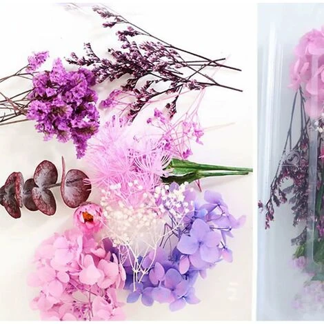 HIASDFLS Set Di Fiori Secchi, 1 Set Pressato, Naturale, Margherita Essiccata, Naturale, Molte Varietà, Per La Decorazione Di Biglietti Di Auguri, Custodie Per Cellulari 5 HIASDFLS Set Di Fiori Secchi, 1 Set Pressato, Naturale, Margherita Essiccata, Naturale, Molte Varietà, Per La Decorazione Di Biglietti Di Auguri, Custodie Per Cellulari - immagine 5