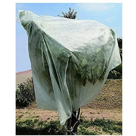 Vigor Cappuccio Protettivo Per Piante Tnt Bianco Con Lacci 3.2x1.6mt 1 Vigor Cappuccio Protettivo Per Piante Tnt Bianco Con Lacci 3.2x1.6mt