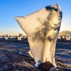 Cappuccio 4 Pezzi Protezione Pianta TNT 100X80 Sacchi Antigelo Telo Copri Piante -Negozio al dettaglio Piante Casa 61226146 5