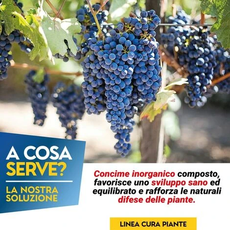 OSSICLORURO DI RAME REALE 20 FLOW - 1 Kg 2 OSSICLORURO DI RAME REALE 20 FLOW - 1 Kg - immagine 2