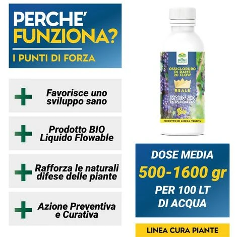 OSSICLORURO DI RAME REALE 20 FLOW - 1 Kg 3 OSSICLORURO DI RAME REALE 20 FLOW - 1 Kg - immagine 3