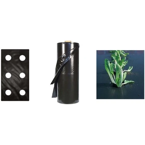 TELO PACCIAMATURA 110 CM X 50 METRI FORI DOPPI 40CM FILM POLIETILENE ANTI ERBA ORTO 1 TELO PACCIAMATURA 110 CM X 50 METRI FORI DOPPI 40CM FILM POLIETILENE ANTI ERBA ORTO
