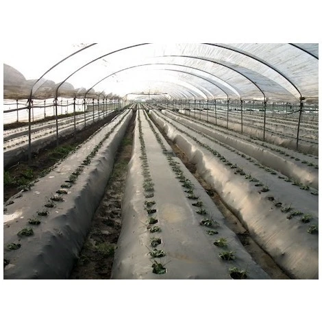 TELO PACCIAMATURA 130CM X 50 METRI FORI DOPPI 40 CM FILM POLIETILENE ANTI ERBA ORTO 2 TELO PACCIAMATURA 130CM X 50 METRI FORI DOPPI 40 CM FILM POLIETILENE ANTI ERBA ORTO - immagine 2