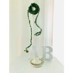 15m Artificiale Foglia Di Edera Minuscole Piante A Foglia Falso Vite Blu Appeso Ghirlanda Verde Fogliame Per La Casa Cucina Giardino Ufficio Decorazione Della Parete Di Nozze 9 15m Artificiale Foglia Di Edera Minuscole Piante A Foglia Falso Vite Blu Appeso Ghirlanda Verde Fogliame Per La Casa Cucina Giardino Ufficio Decorazione Della Parete Di Nozze -Negozio al dettaglio Piante Casa 63849238 5