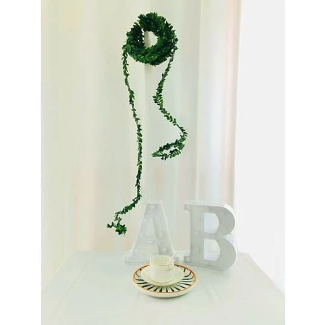 15m Artificiale Foglia Di Edera Minuscole Piante A Foglia Falso Vite Blu Appeso Ghirlanda Verde Fogliame Per La Casa Cucina Giardino Ufficio Decorazione Della Parete Di Nozze 5 15m Artificiale Foglia Di Edera Minuscole Piante A Foglia Falso Vite Blu Appeso Ghirlanda Verde Fogliame Per La Casa Cucina Giardino Ufficio Decorazione Della Parete Di Nozze - immagine 5