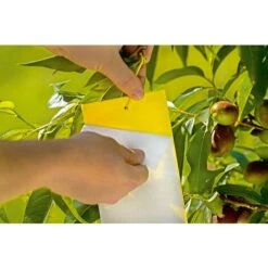 TRAPPOLA ADESIVA XL 24X17CM STOCKER -Negozio al dettaglio Piante Casa 66800622 3