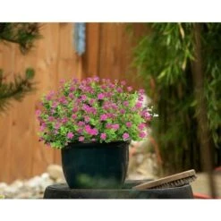 10 Mazzi Di Fiori Artificiali Piante Finte. Arbusti Verdi Resistenti Ai Raggi UV Piante Di Eucalipto Fioriera Sospesa Per Interni Ed Esterni Decorazioni Per Il Giardino Di Casa. Rosso -Negozio al dettaglio Piante Casa 67412290 3