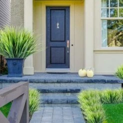 Confezione Da 12 Piante Artificiali Resistenti Ai Raggi UV Piante Artificiali In Plastica Che Non Sbiadiscono Decorazione Da Giardino/finestra (erba Verde) 9 Confezione Da 12 Piante Artificiali Resistenti Ai Raggi UV Piante Artificiali In Plastica Che Non Sbiadiscono Decorazione Da Giardino/finestra (erba Verde) -Negozio al dettaglio Piante Casa 67909212 5