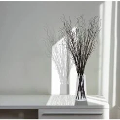 Muschio Artificiale Ramo Di Corallo Bastone Pieghevole Pianta Realistica Decorazioni Per La Casa Fiore Da Sposa Ramo Da Parete Vaso Da Pavimento Stucco (nero) -Negozio al dettaglio Piante Casa 69209730 3