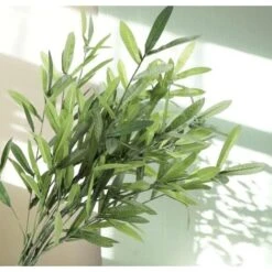 Negozio al dettaglio Piante Casa -Negozio al dettaglio Piante Casa 69209822 2