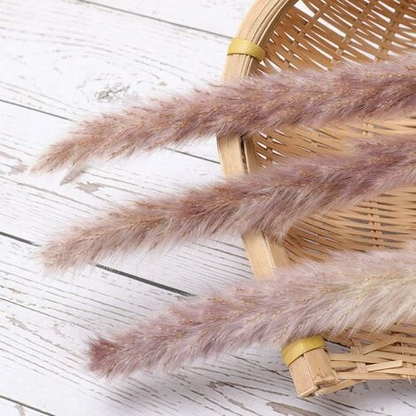 MINKUROW 30 Pezzi Di Erba Di Pampa, Bouquet Di Fiori Secchi Di Pampa Naturale Da 45 Cm Per Vasi, Decorazione Boho Camera Da Letto, Soggiorno, Casa, Decorazione Da Tavola Per Matrimoni 4 MINKUROW 30 Pezzi Di Erba Di Pampa, Bouquet Di Fiori Secchi Di Pampa Naturale Da 45 Cm Per Vasi, Decorazione Boho Camera Da Letto, Soggiorno, Casa, Decorazione Da Tavola Per Matrimoni - immagine 4